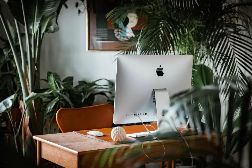 A computer surrounded by house plants where a person can make $22,000 a year.