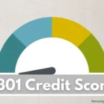 301 credit score.