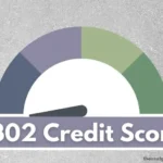 302 credit score.