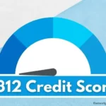 312 credit score.