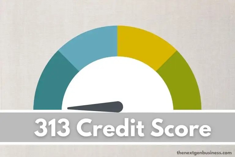 313 Credit Score: Is it Good or Bad? How to Improve it?