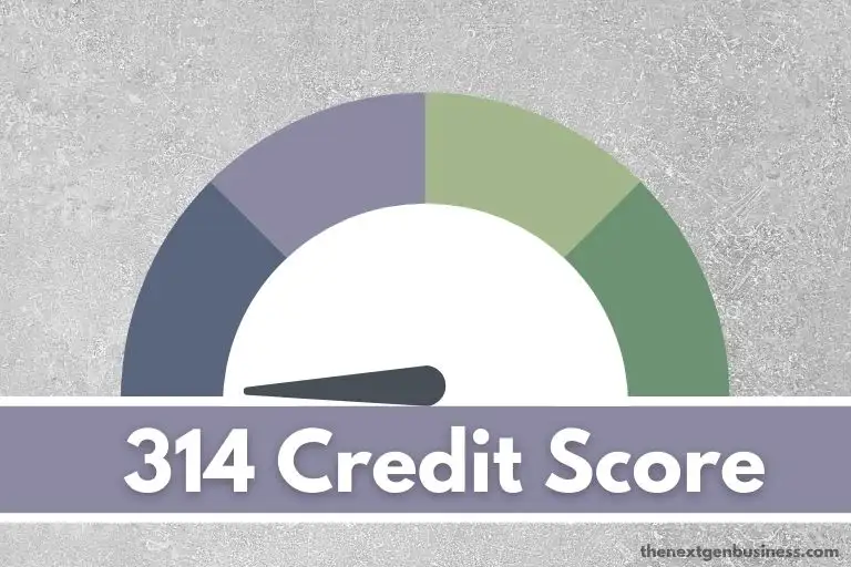 314 credit score.