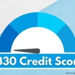 330 credit score.