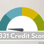 331 credit score.