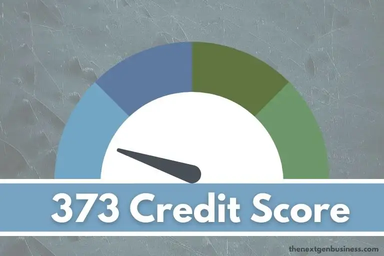 373 credit score.
