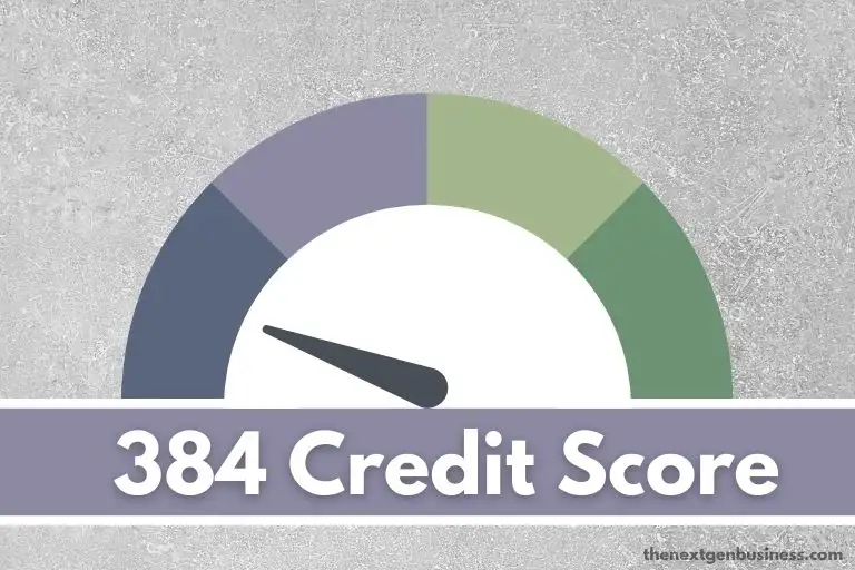 384 credit score.