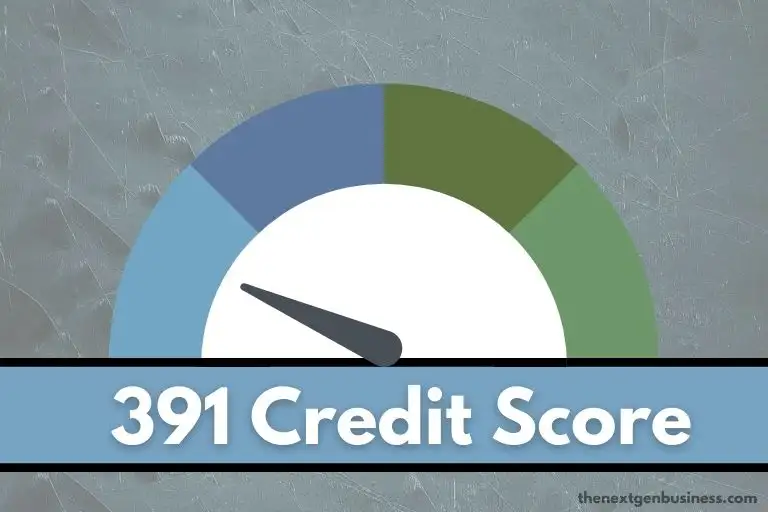 391 credit score.