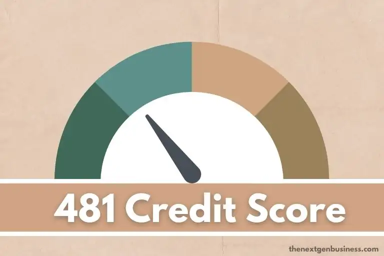 481 credit score.
