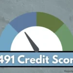 491 credit score.
