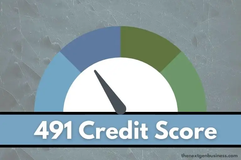 491 credit score.