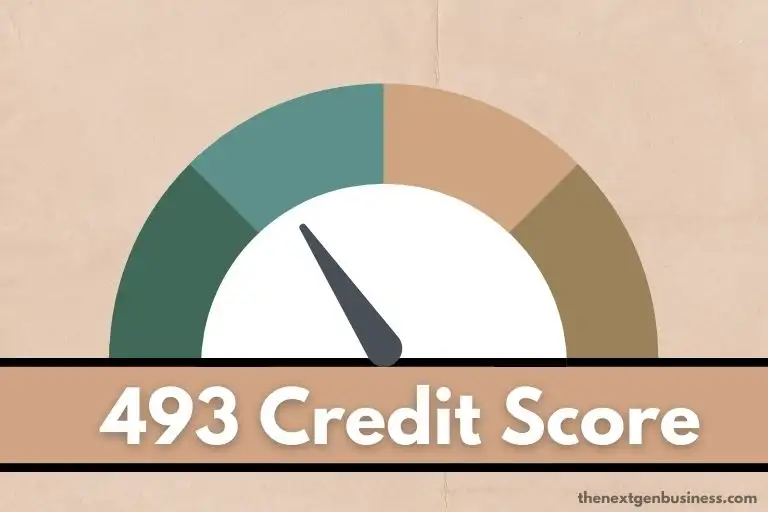 493 credit score.