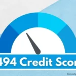 494 credit score.