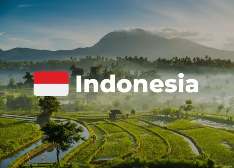 Indonesia income tax salary calculator