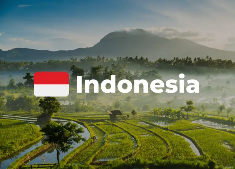 Indonesia Income Tax Calculator